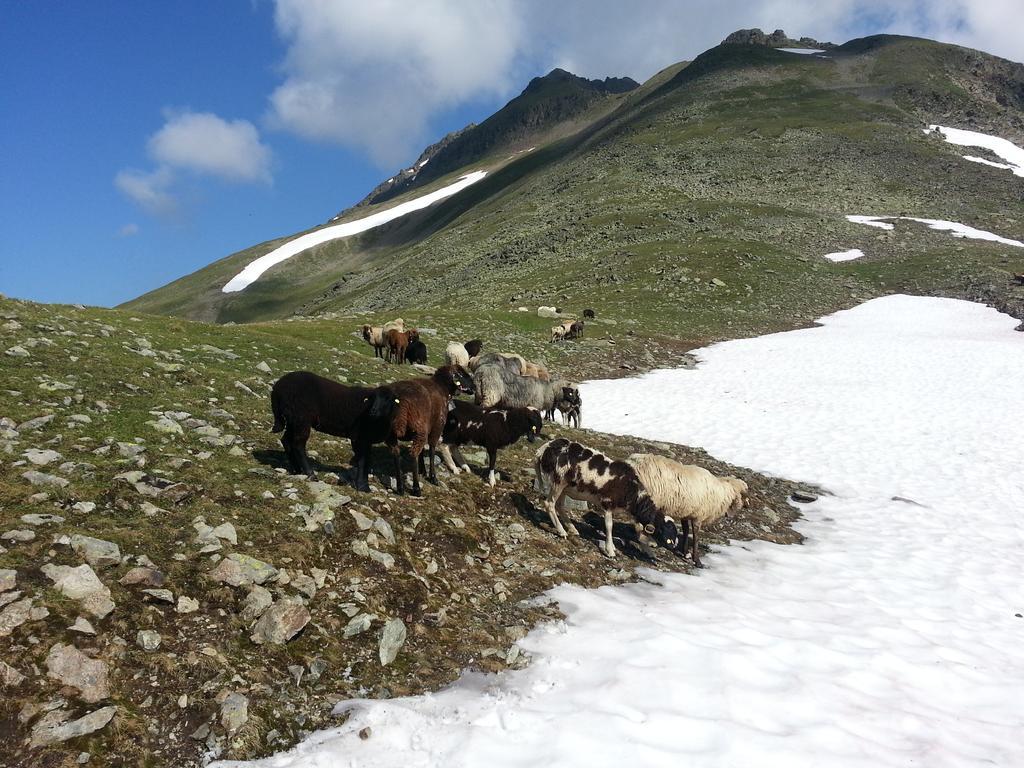 Eiter St. Leonhard im Pitztal